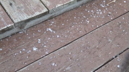 淡路じゃのひれフィッシングパーク 釣果