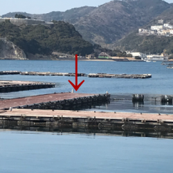 淡路じゃのひれフィッシングパーク 釣果