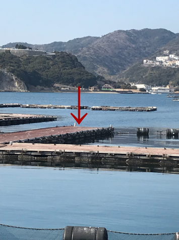 淡路じゃのひれフィッシングパーク 釣果