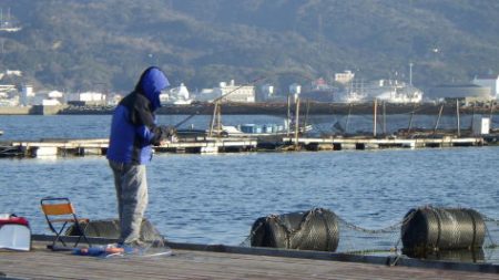 淡路じゃのひれフィッシングパーク 釣果