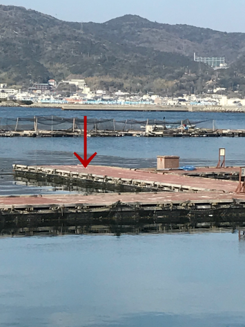 淡路じゃのひれフィッシングパーク 釣果