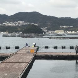 淡路じゃのひれフィッシングパーク 釣果