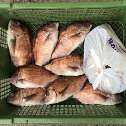 淡路じゃのひれフィッシングパーク 釣果