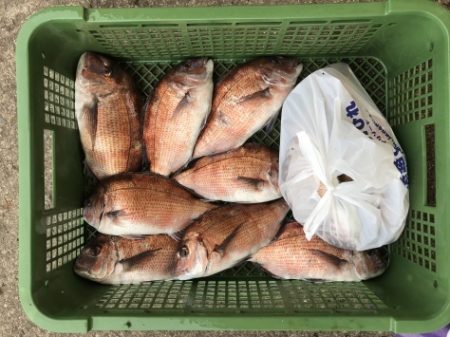 淡路じゃのひれフィッシングパーク 釣果