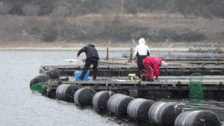 淡路じゃのひれフィッシングパーク 釣果