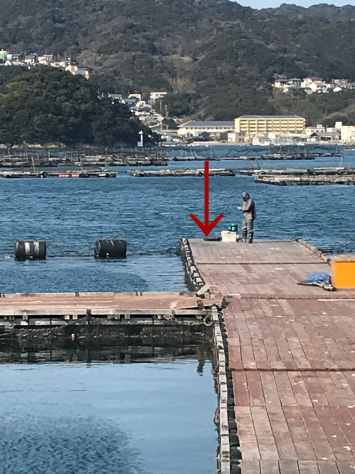 淡路じゃのひれフィッシングパーク 釣果