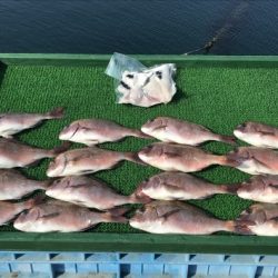 淡路じゃのひれフィッシングパーク 釣果