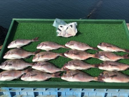 淡路じゃのひれフィッシングパーク 釣果