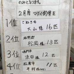 淡路じゃのひれフィッシングパーク 釣果