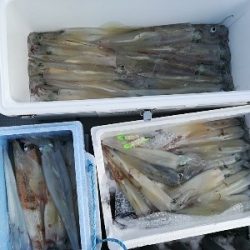 IDATEN(イダテン) 釣果