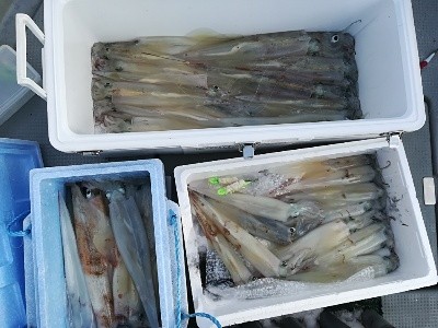 IDATEN(イダテン) 釣果