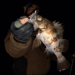 Magic（マジック） 釣果