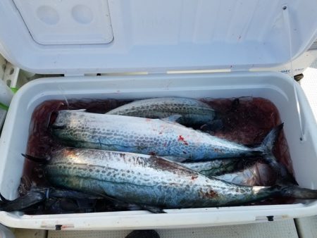 遊漁船　ニライカナイ 釣果