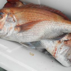 こうゆう丸 釣果