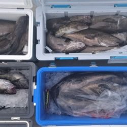 気仙沼　つり丸 釣果