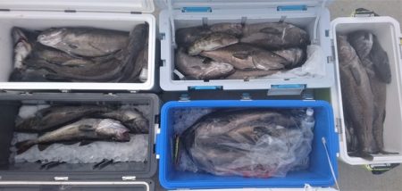 気仙沼　つり丸 釣果