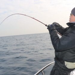 へいみつ丸 釣果