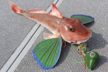 へいみつ丸 釣果