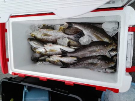 第二大福丸 釣果