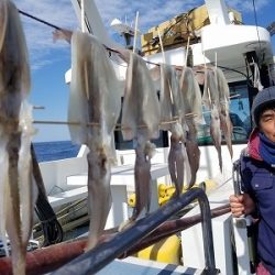 しまや丸 釣果