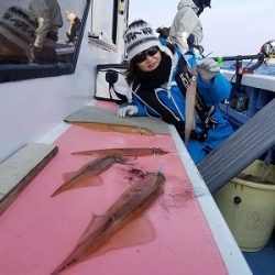 しまや丸 釣果