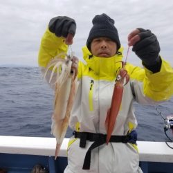 しまや丸 釣果