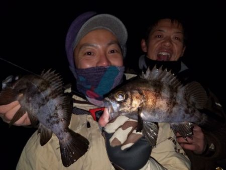 Magic（マジック） 釣果