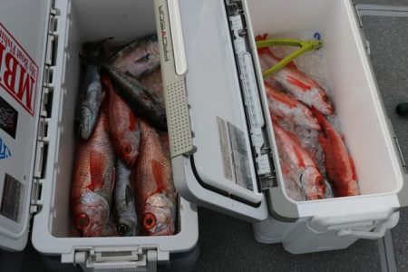 へいみつ丸 釣果