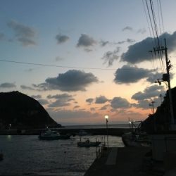 鵜来島家本渡船 釣果