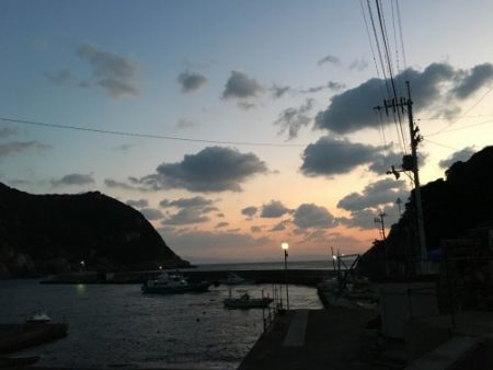 鵜来島家本渡船 釣果