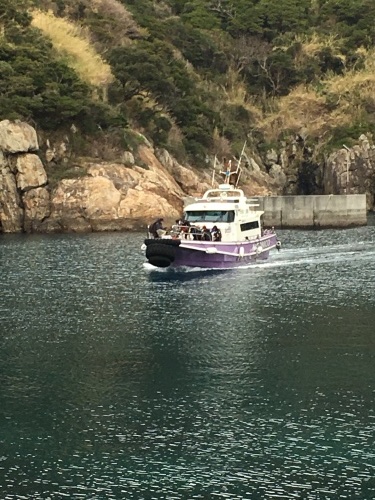 鵜来島家本渡船 釣果