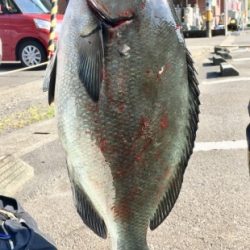 鵜来島家本渡船 釣果