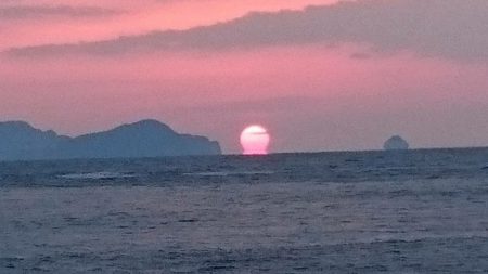 鵜来島家本渡船 釣果