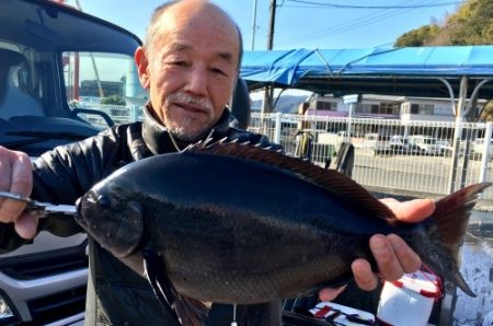 鵜来島家本渡船 釣果