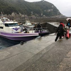 鵜来島家本渡船 釣果