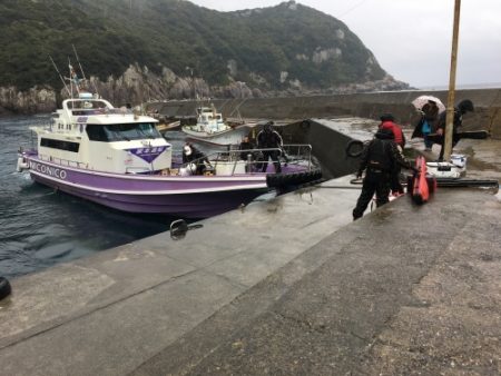 鵜来島家本渡船 釣果