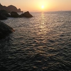 鵜来島家本渡船 釣果