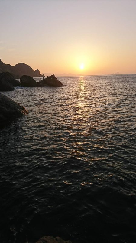 鵜来島家本渡船 釣果