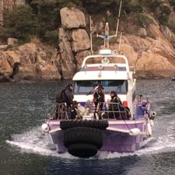 鵜来島家本渡船 釣果