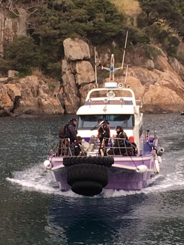 鵜来島家本渡船 釣果