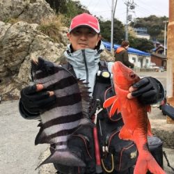 鵜来島家本渡船 釣果