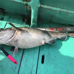 広進丸 釣果