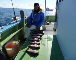 久里浜黒川本家 釣果