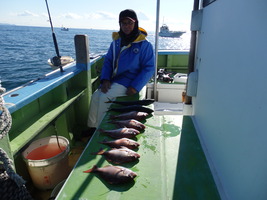 久里浜黒川本家 釣果