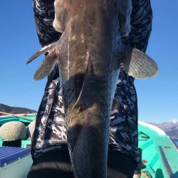 広進丸 釣果