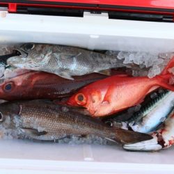 へいみつ丸 釣果