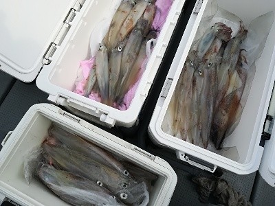 IDATEN(イダテン) 釣果