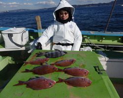 久里浜黒川本家 釣果