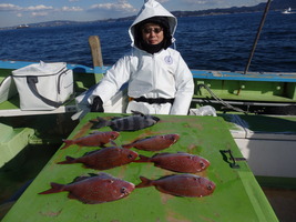 久里浜黒川本家 釣果
