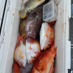 第二大福丸 釣果